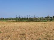 Terreno in vendita di 27000 m²