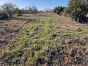 Terreno in vendita di 2700 m² in Strada 17, 111 Terreno in vendita di 2700 m² in Strada 17, 111