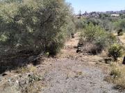 Terreno in vendita di 2738 m² in Strada Raccomandata