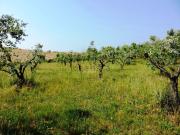 Terreno in vendita di 2740 m² in Via Vittorio Emanuele, 1