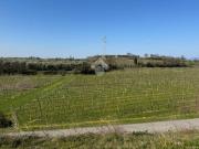 Terreno in vendita di 27441 m² in Via Cerea, 1