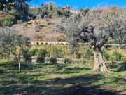 Terreno in vendita di 2747 m² in Via Alessandro III