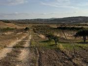 Terreno in vendita di 27496 m²