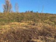 Terreno in vendita di 2763 m² in Località Boffalora