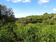 Terreno in vendita di 2775 m² in Via Terre Liberate