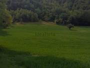 Terreno in vendita di 28000 m²