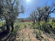 Terreno in vendita di 28000 m² in Contrada rapputi