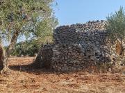 Terreno in vendita di 2912 m² in Strada Comunale San...