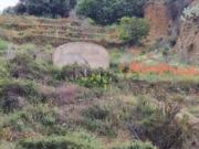 Terreno in vendita di 2930 m² in Via Stigliosa