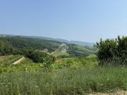 Terreno in vendita di 2940 m² in Località Carazzan