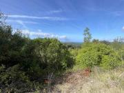 Terreno in vendita di 30000 m² in Via Giuseppe Cantini, 5