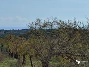 Terreno in vendita di 30000 m² in Contrada Gioi