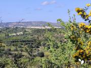 Terreno in vendita di 30000 m² in Contrada Zupparda
