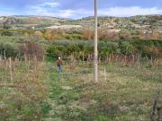 Terreno in vendita di 30000 m² in Località Malena