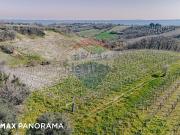Terreno in vendita di 30000 m² in Strada Comunale Reliscia