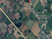 Terreno in vendita di 30000 m² in Via Bando
