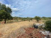 Terreno in vendita di 30000 m² in Via Roccamena