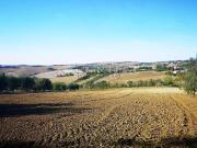 Terreno in vendita di 3000 m²