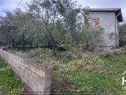 Terreno in vendita di 3000 m²
