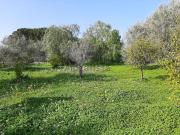 Terreno in vendita di 3000 m² in Contrada lanzarotta