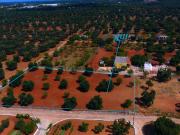 Terreno in vendita di 3000 m² in Contrada San Giuseppe