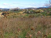 Terreno in vendita di 3000 m² in Strada Amelia Giove