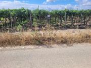 Terreno in vendita di 3000 m² in Strada Comunale Vecchia...