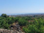 Terreno in vendita di 3000 m² in Via Cristoforo Colombo