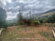 Terreno in vendita di 3000 m² in Via Enrico Berlinguer, 1