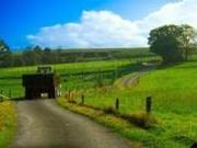 Terreno in vendita di 3000 m² in Via Moglianese Peseggia