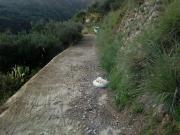 Terreno in vendita di 3000 m² in Via SP35, 22