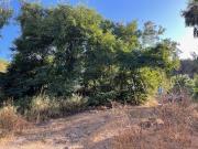 Terreno in vendita di 300 m² in Viale San Giorgio