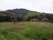 Terreno in vendita di 30270 m² in Strada Provinciale 5