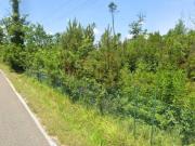 Terreno in vendita di 30310 m² in Via delle Pinete