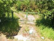 Terreno in vendita di 30310 m² in Via delle Pinete