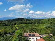 Terreno in vendita di 30628 m² in Località Rotti