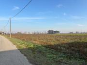 Terreno in vendita di 31000 m²