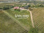 Terreno in vendita di 311380 m² in Via San Biagio Antico, 15