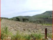 Terreno in vendita di 31350 m² in Strada Provinciale 34
