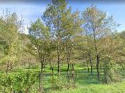 Terreno in vendita di 320000 m² in Via del Castellaccio