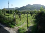 Terreno in vendita di 3200 m² in Via Messina