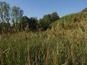 Terreno in vendita di 3217 m² in Via Due Forni