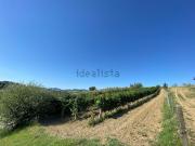 Terreno in vendita di 3264 m² in Via Pedrolara