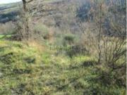 Terreno in vendita di 32846 m² in Via Ca&apos  Fabbruccio