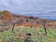Terreno in vendita di 32 m² in Strada Milia