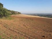 Terreno in vendita di 33300 m²