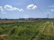 Terreno in vendita di 33539 m² in Via Parigi