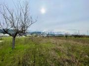 Terreno in vendita di 3400 m² in Via Giuseppe Mazzini