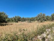 Terreno in vendita di 34310 m² in Contrada Risicone