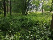 Terreno in vendita di 34 m² in Strada Terraglio